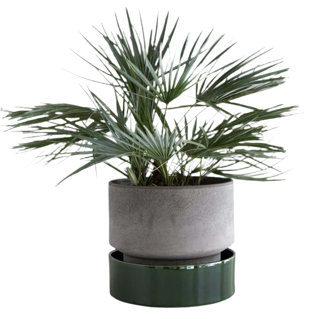 Saucer for The Hoff Pot | emerald green
