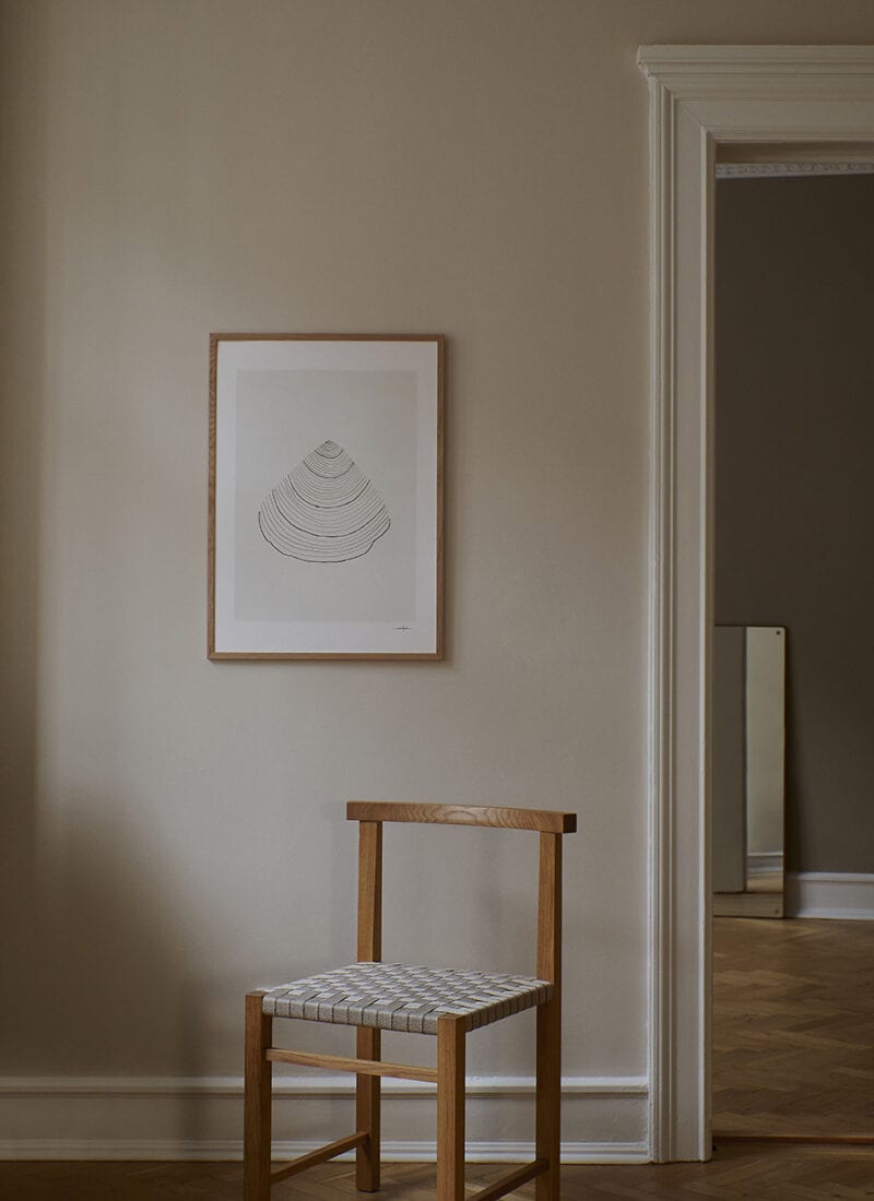 Affiche d'art 30x40cm | Coquillage