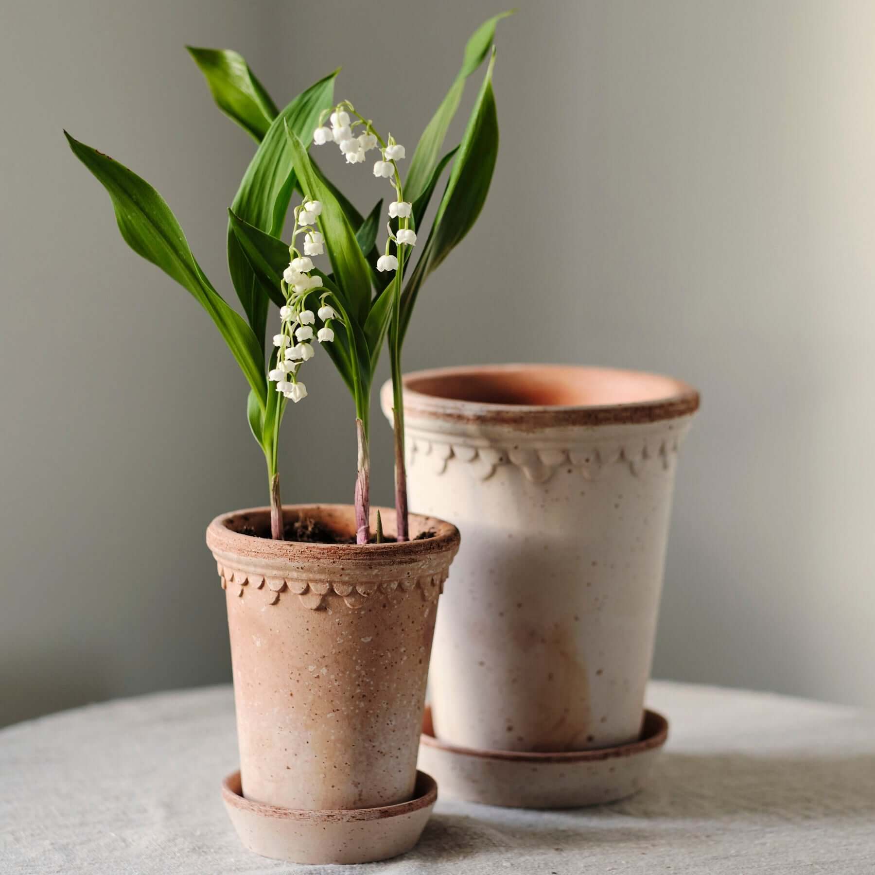 Pot de fleurs Københavner haut | terre cuite