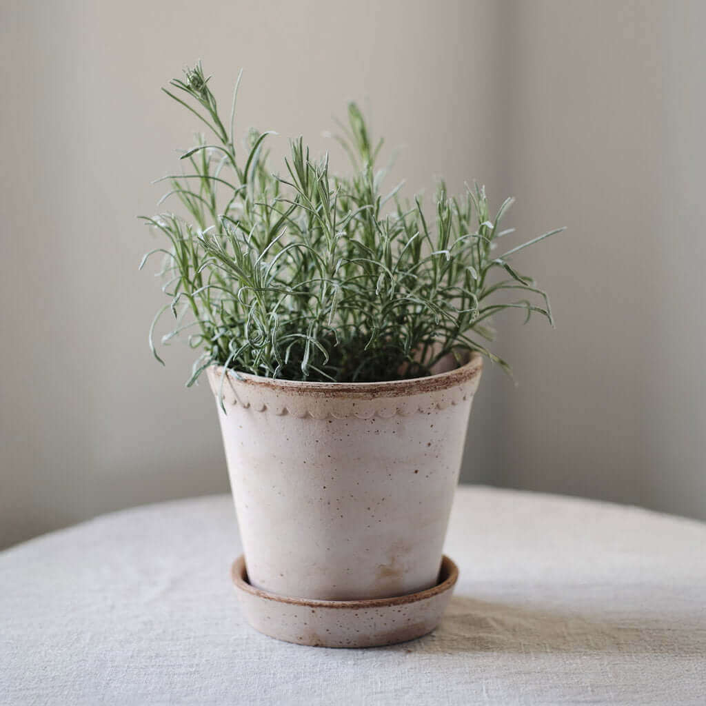 Pot de fleurs Helena classic | terre cuite