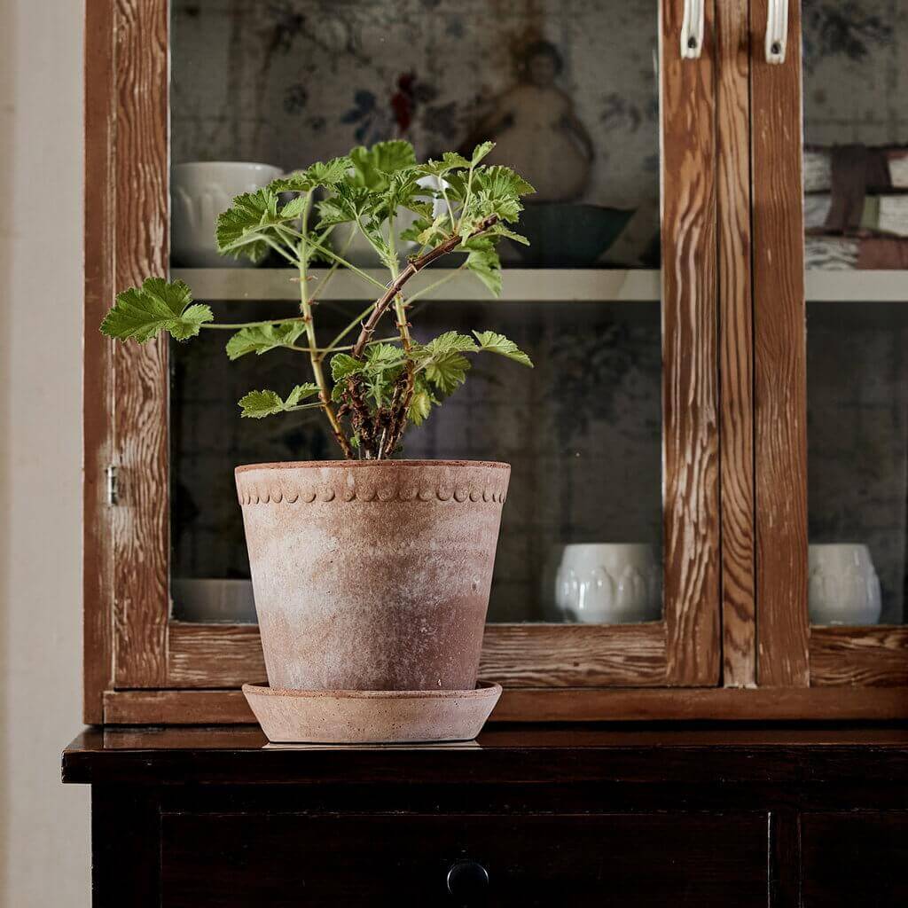 Pot de fleurs Helena classic | terre cuite