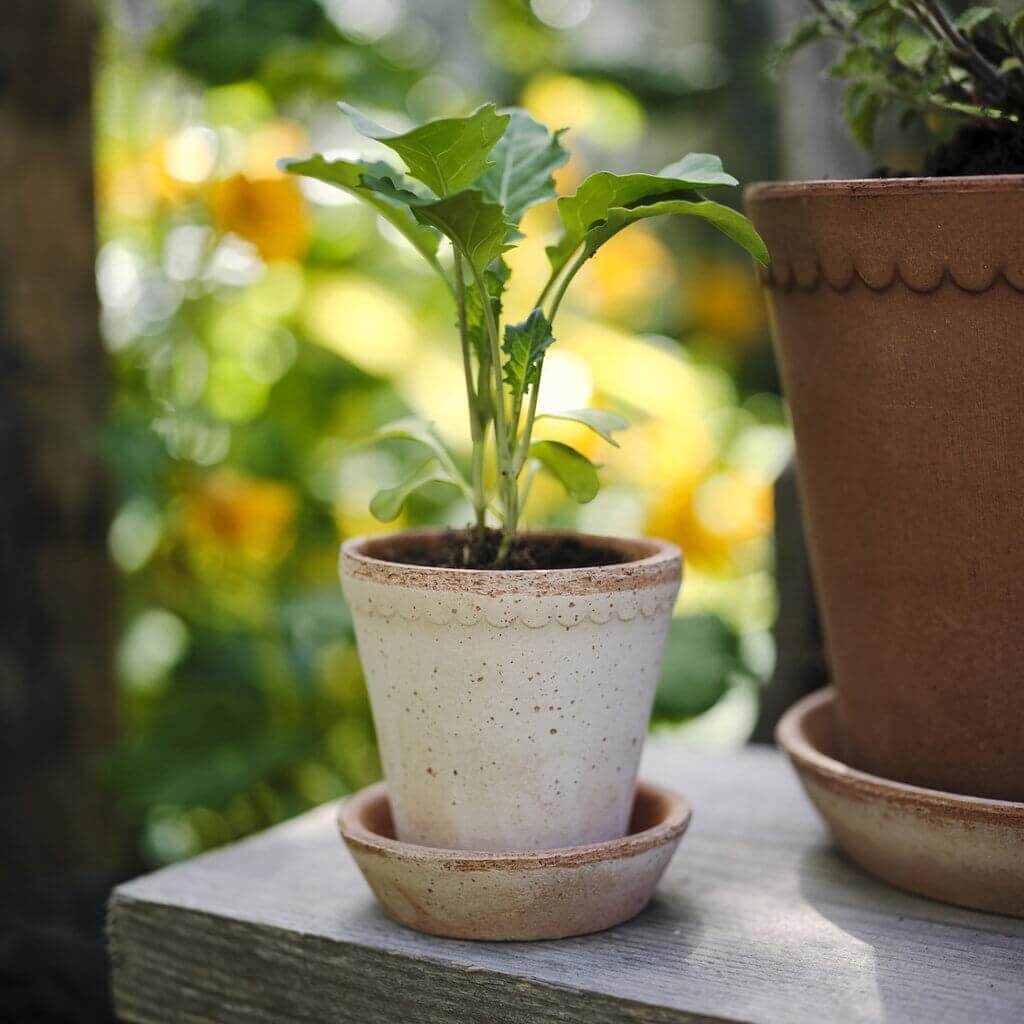 Pot de fleurs Helena classic | terre cuite