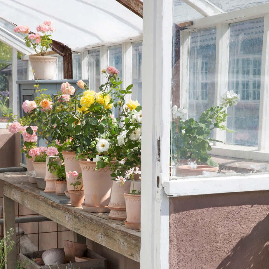 Pot de fleurs Københavner haut | terre cuite