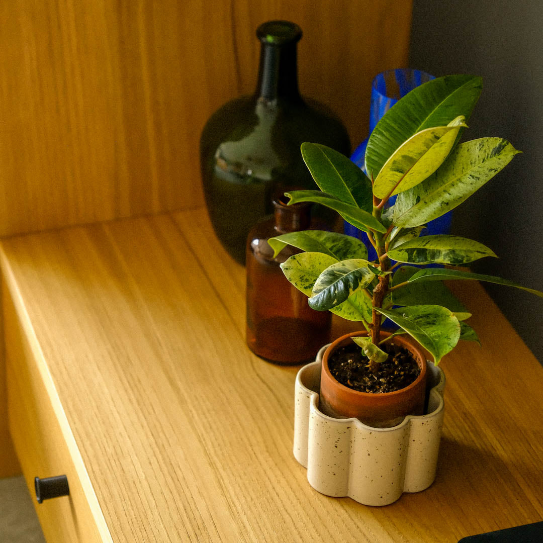 Self-watering Pot Paulita S | green