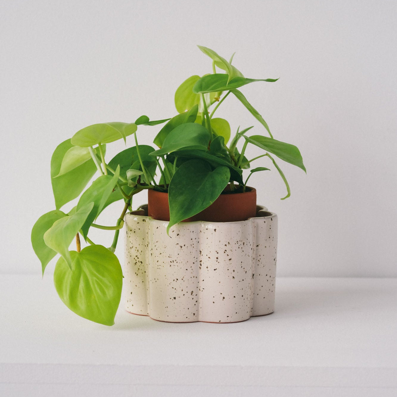 Self-watering Pot Paulita S | cream