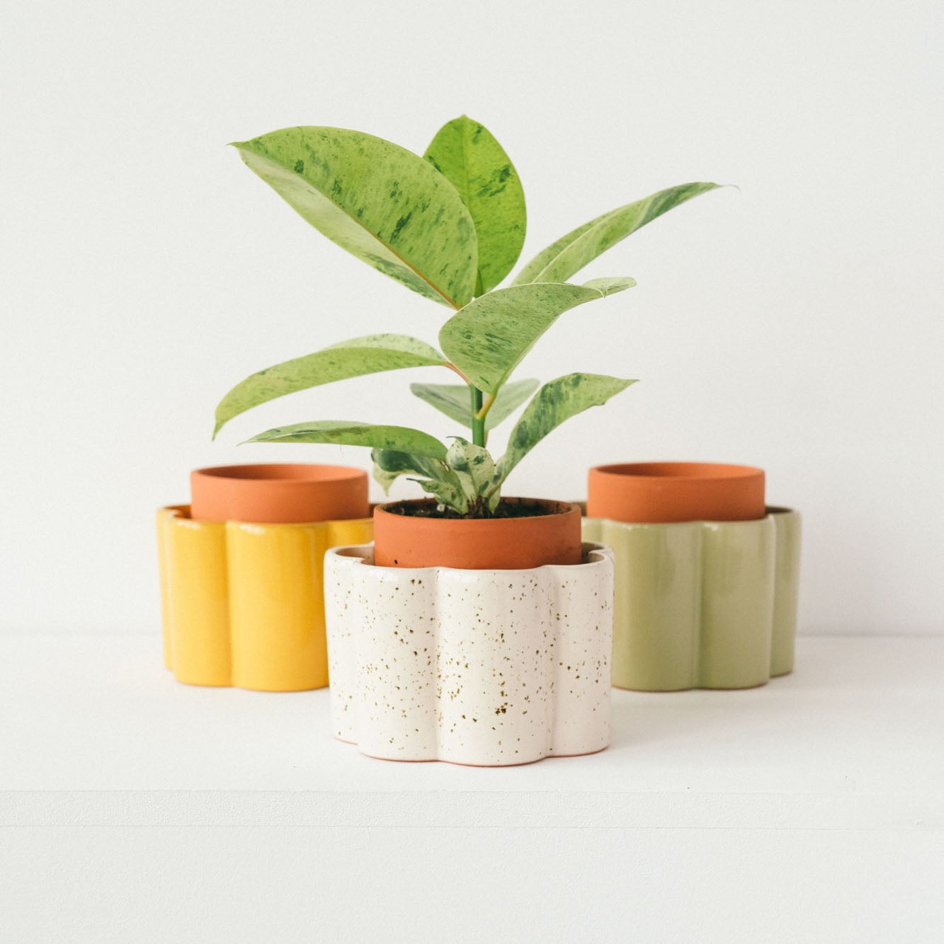 Self-watering pot Paulita S | yellow