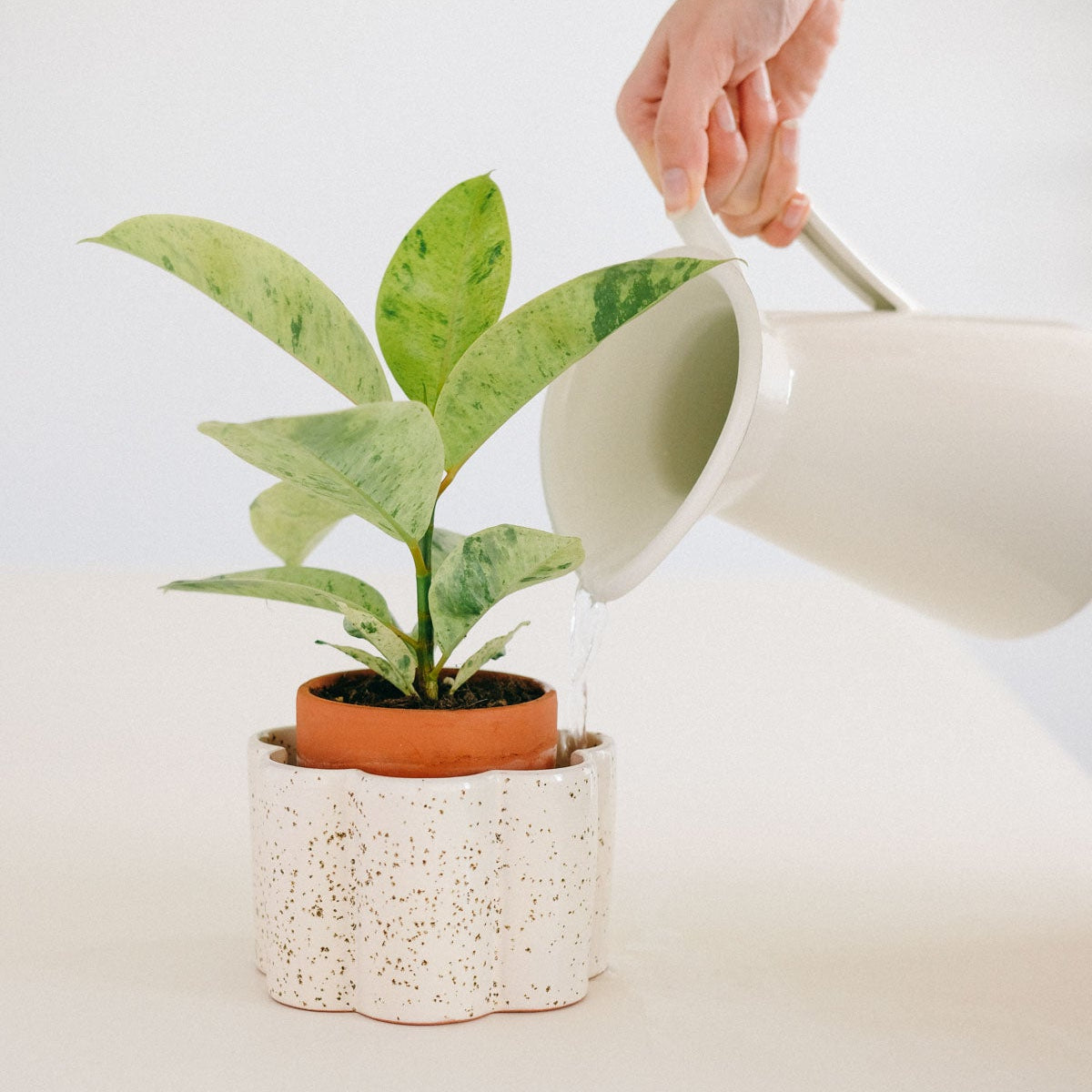Self-watering Pot Paulita S | cream