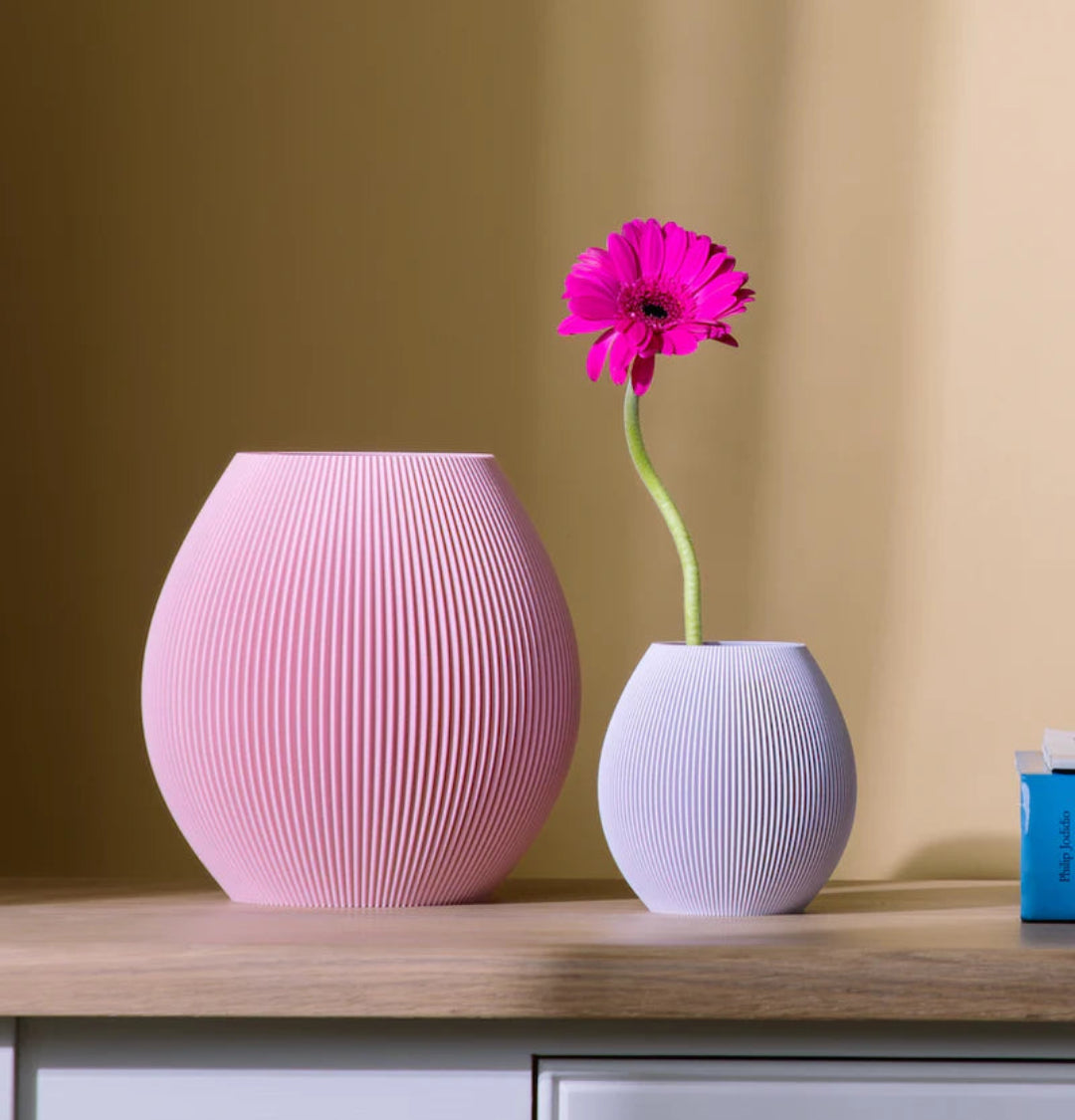 Vase Pill 3D Print | terracotta