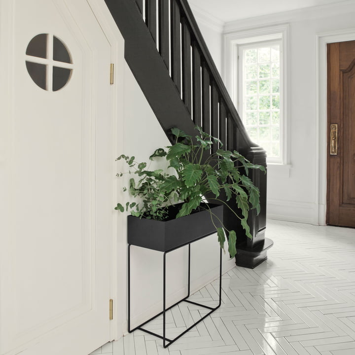 Diese Plantbox gibt es bei uns im Onlineshop in verschiedenen Farben