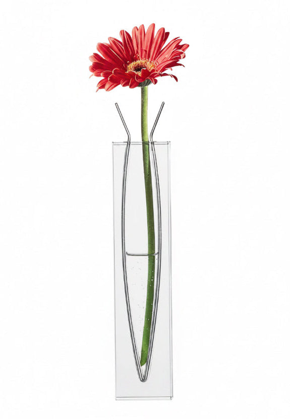 MoMa Vase | Ribbon