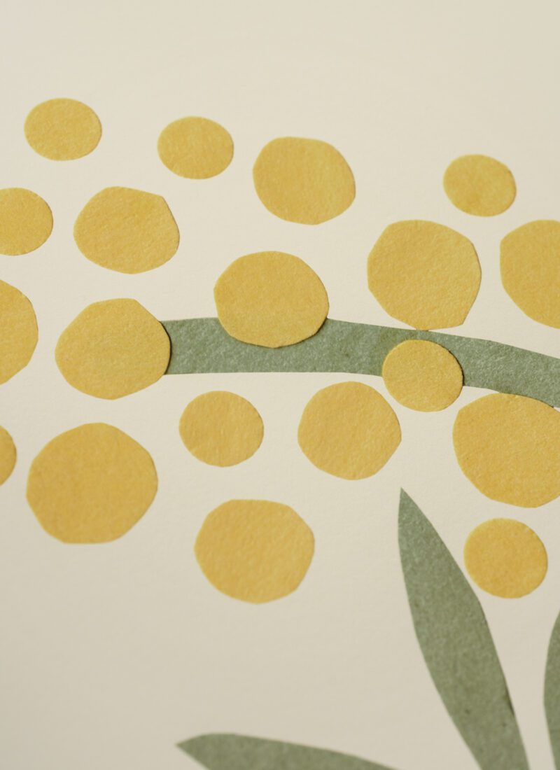 Affiche d'art 30x40cm | Acacia