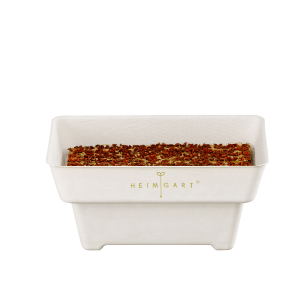 Barquette de germination Microgreens | compostable