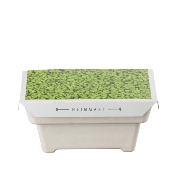 Barquette de germination Microgreens | compostable