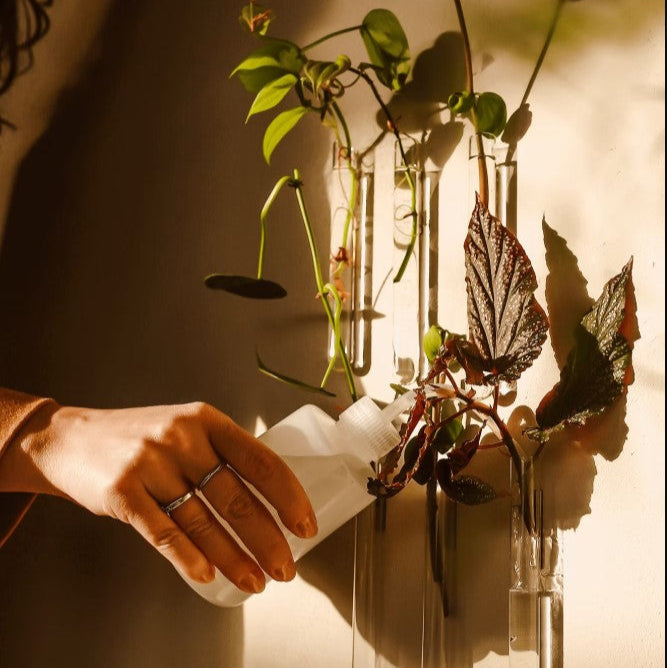 Bouteille de recharge pour vases Walleaf