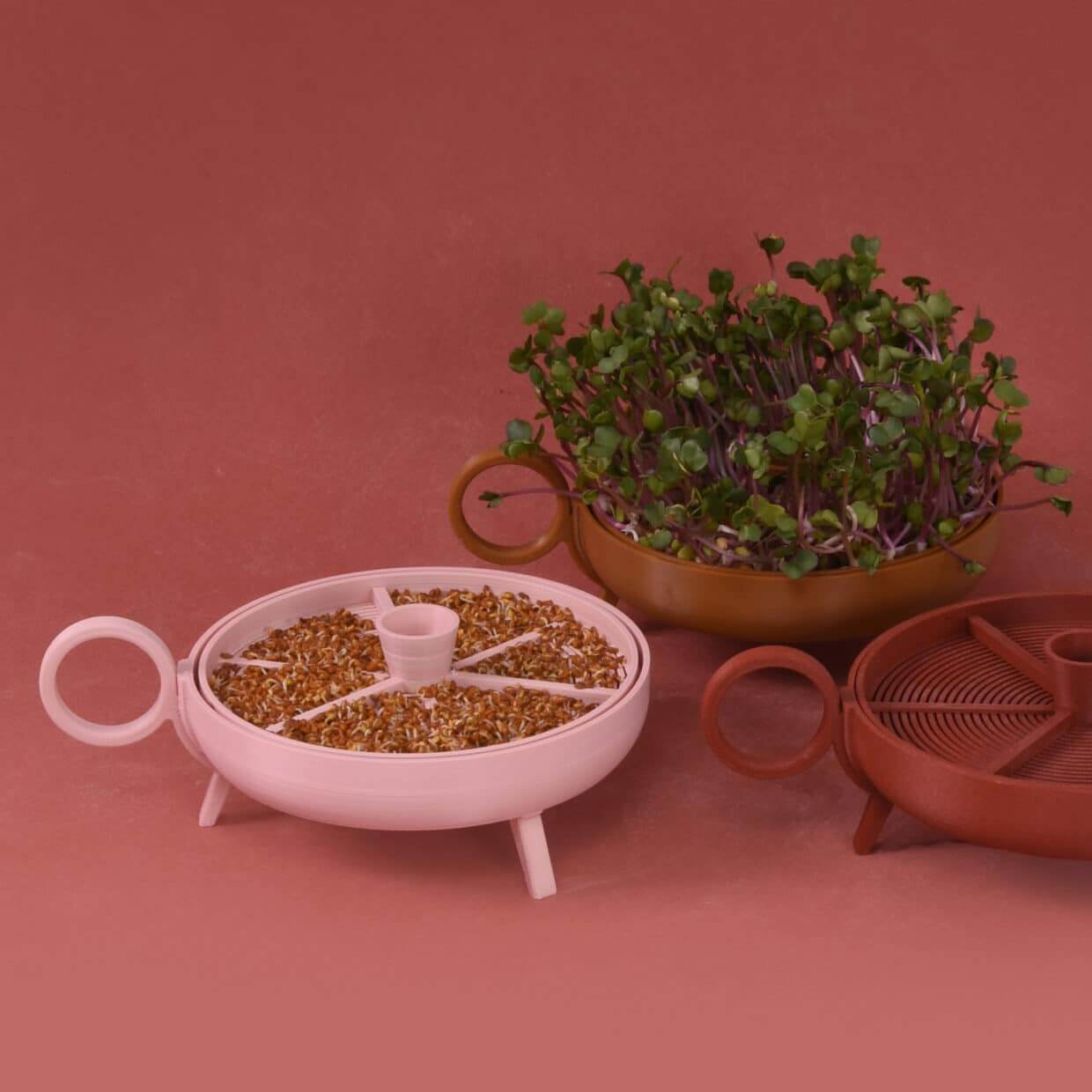 Sprouting Plate | brick