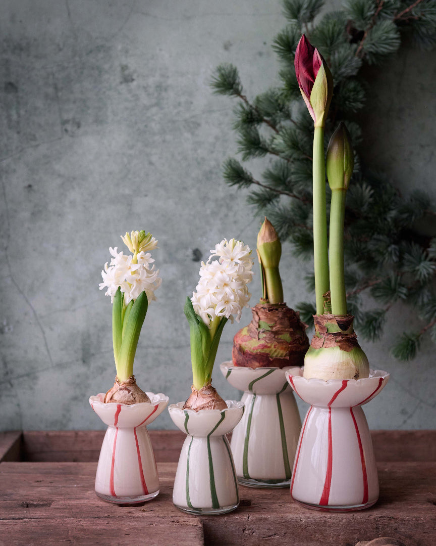 Hyacinthenvase Enya | beige, grün