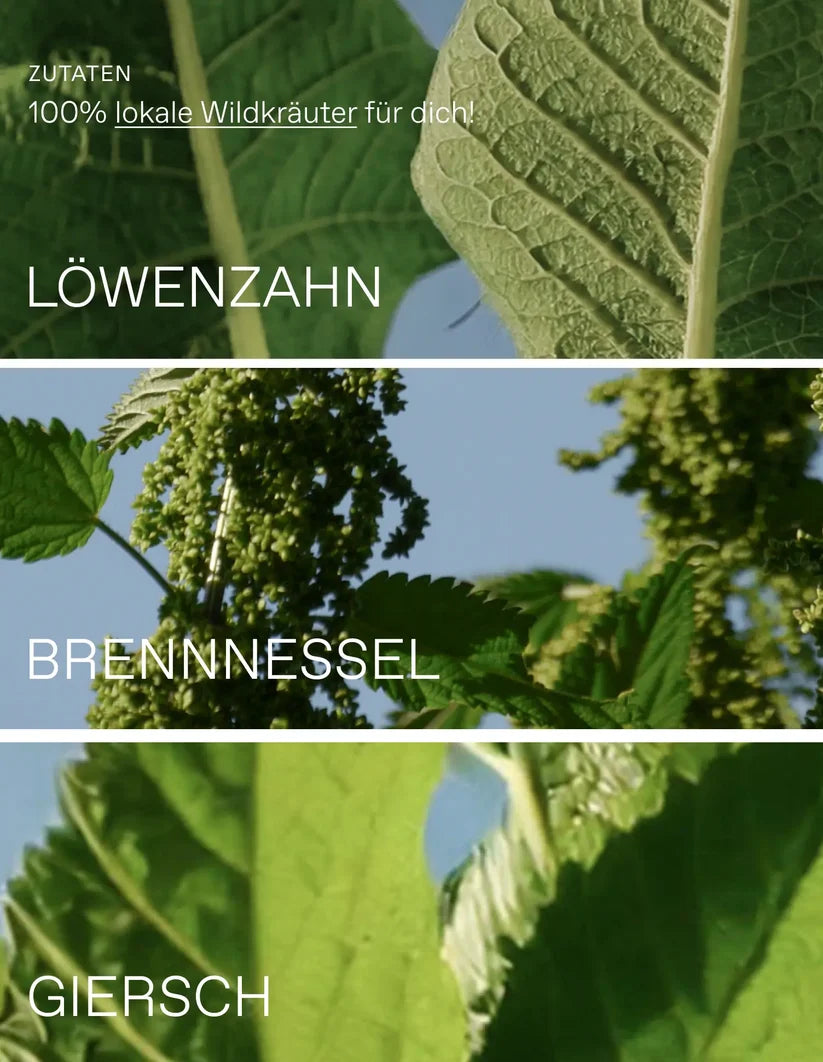 Wildpflanzen Pulver  | Heimische Superfoods