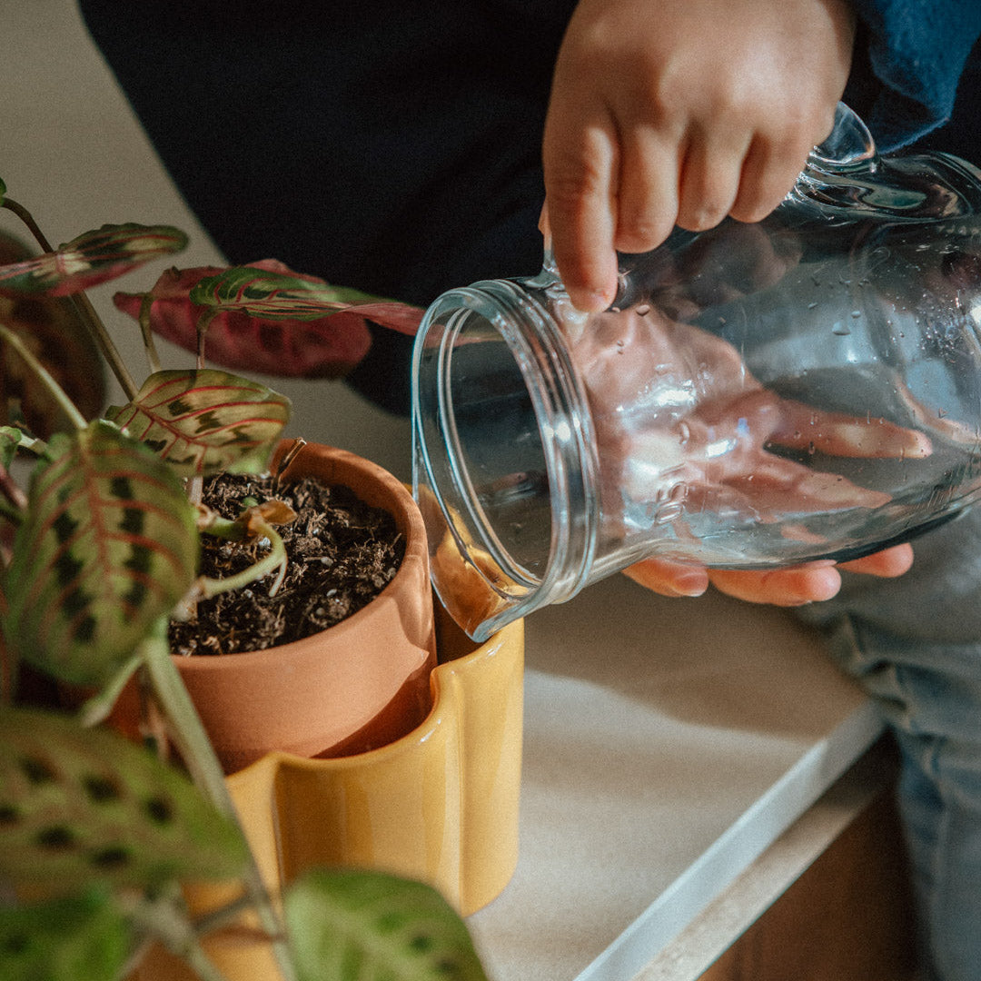 Self-watering pot Paulita S | yellow