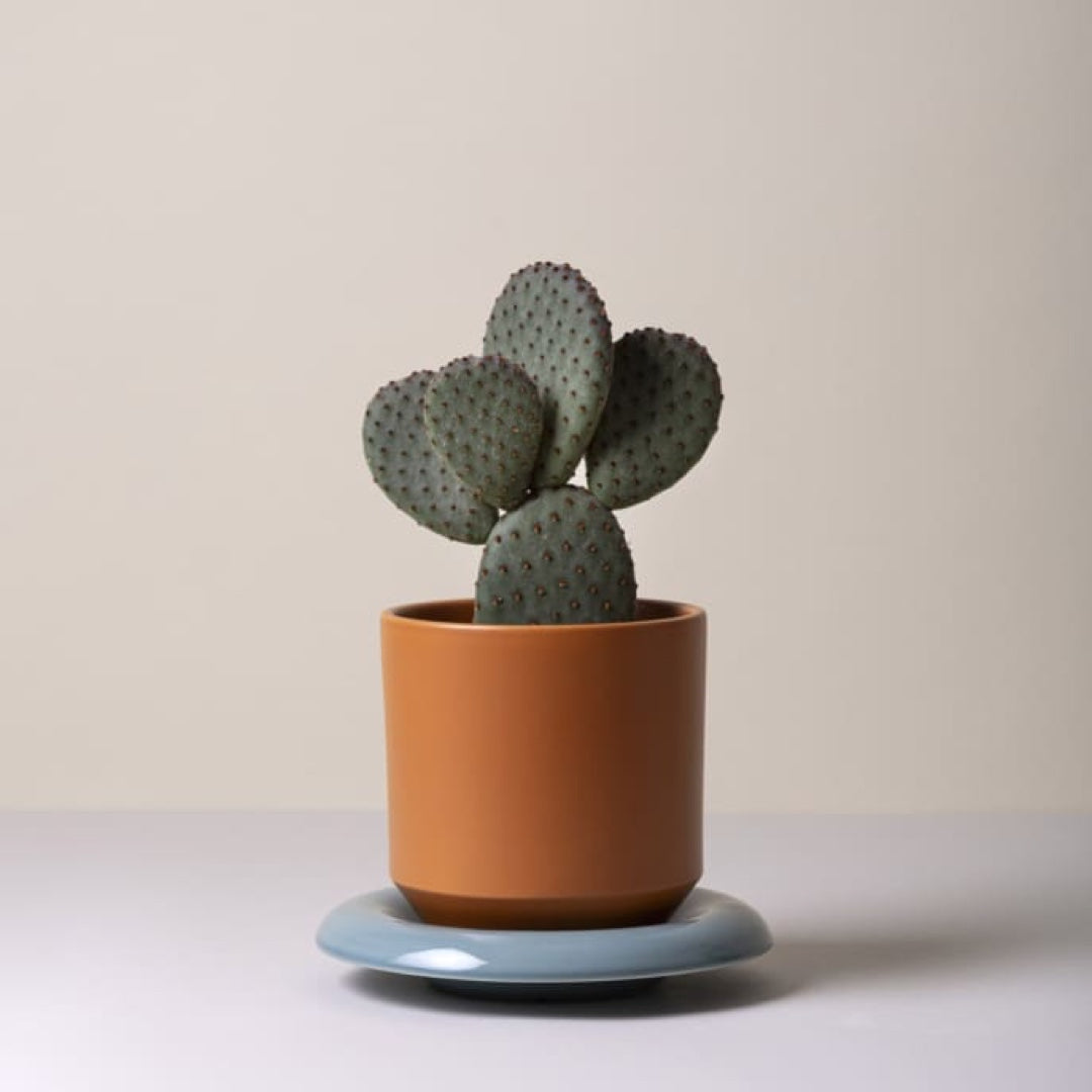 Pot de fleurs Lily | mandarine