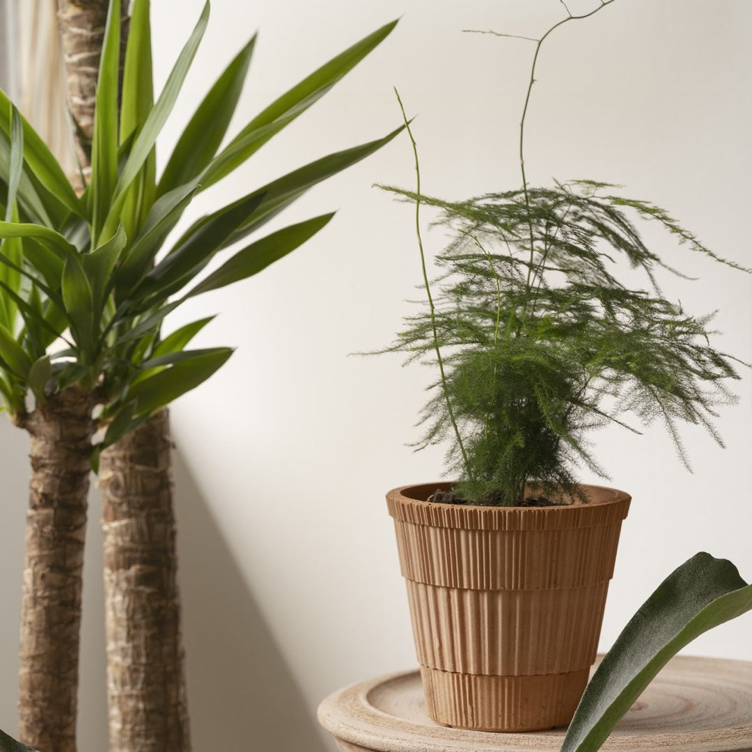 Flower Pot Atlas | Terracotta