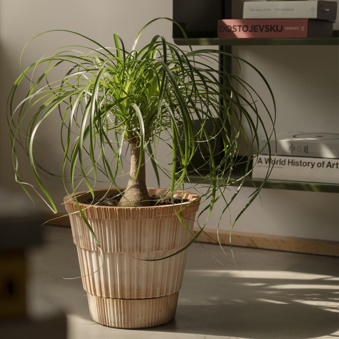 Flower Pot Atlas | Terracotta