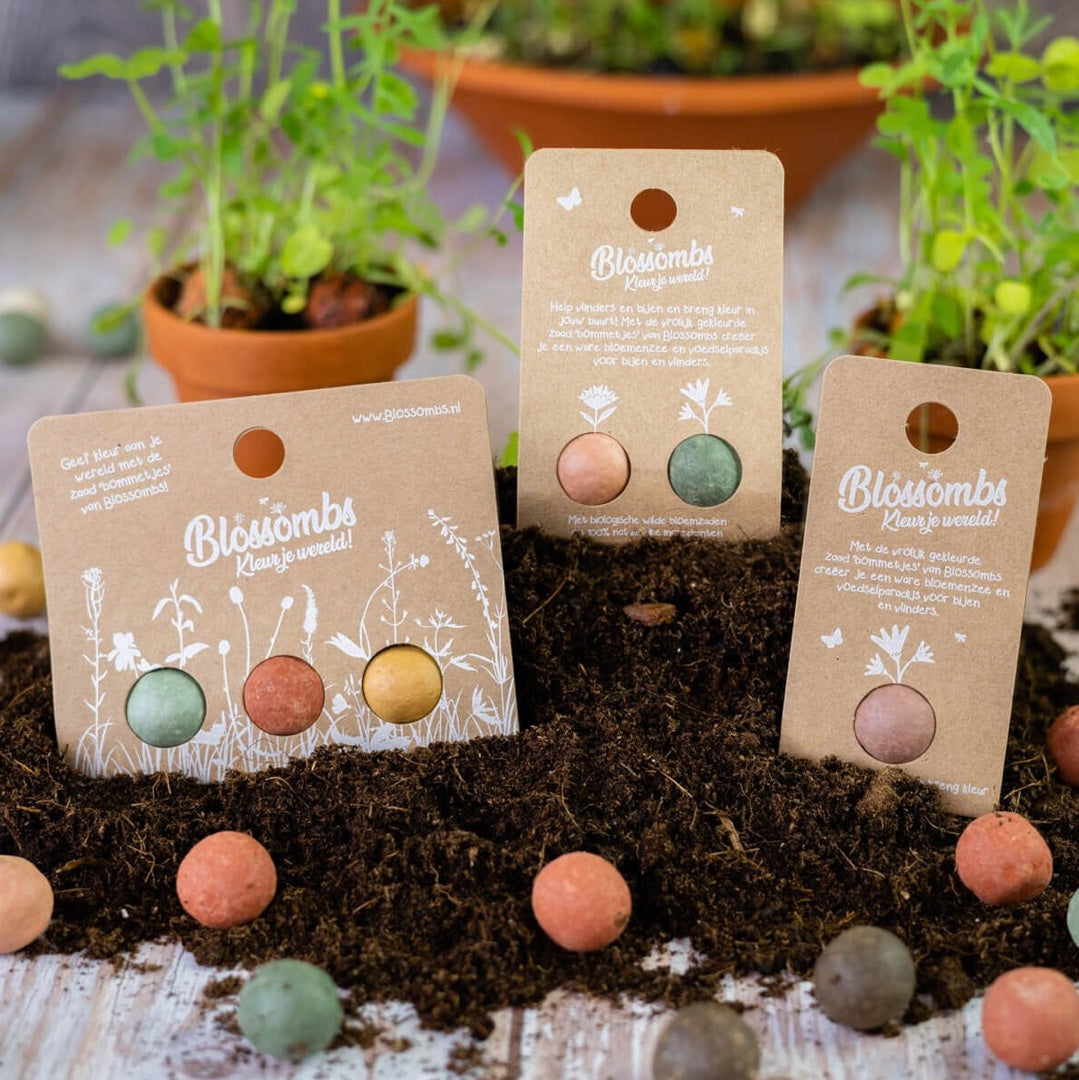 Graines de fleurs | Coffret cadeau mini Fleurs pour toi