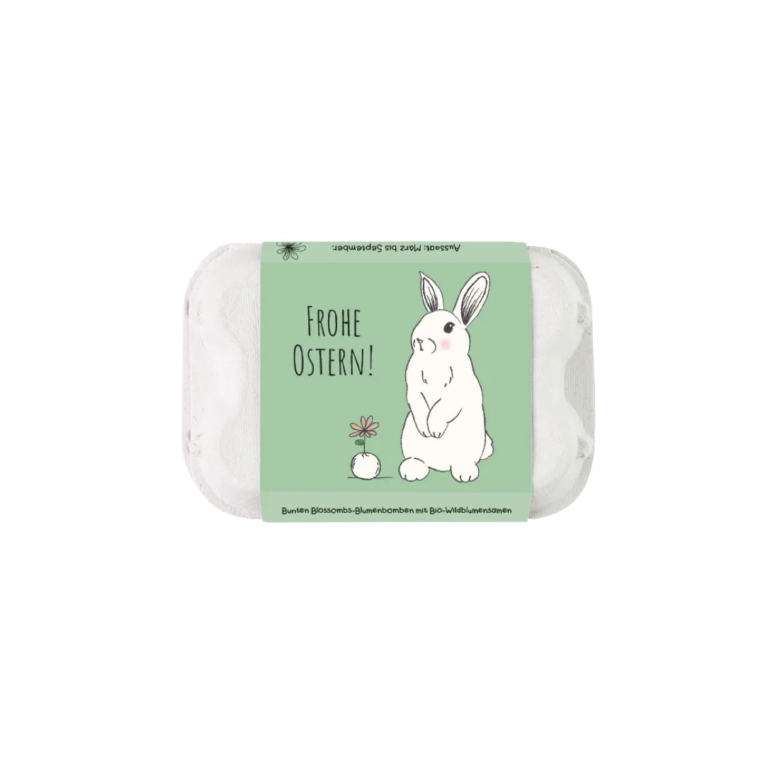 Flower Seeds | Gift Box Easter Bunny