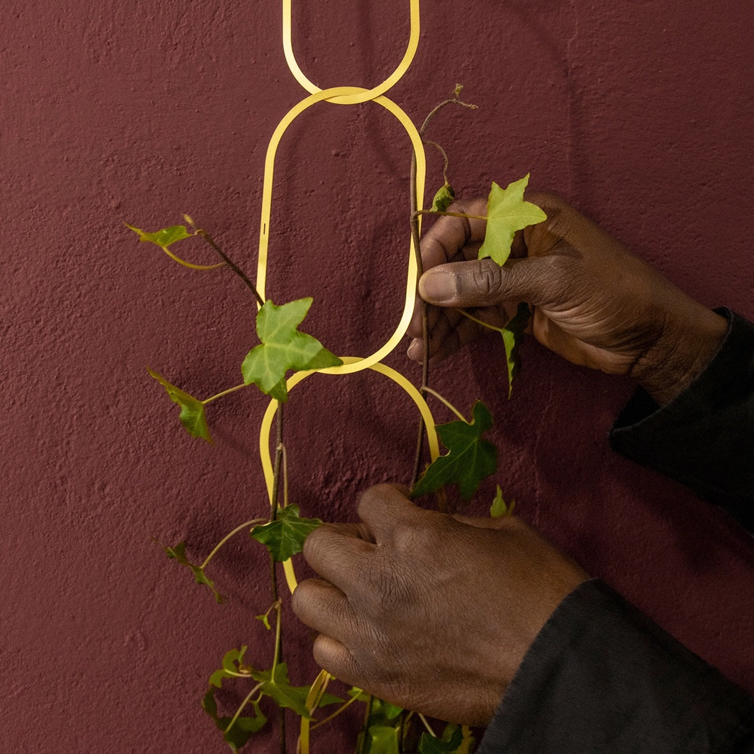 Tuteur Chain | doré