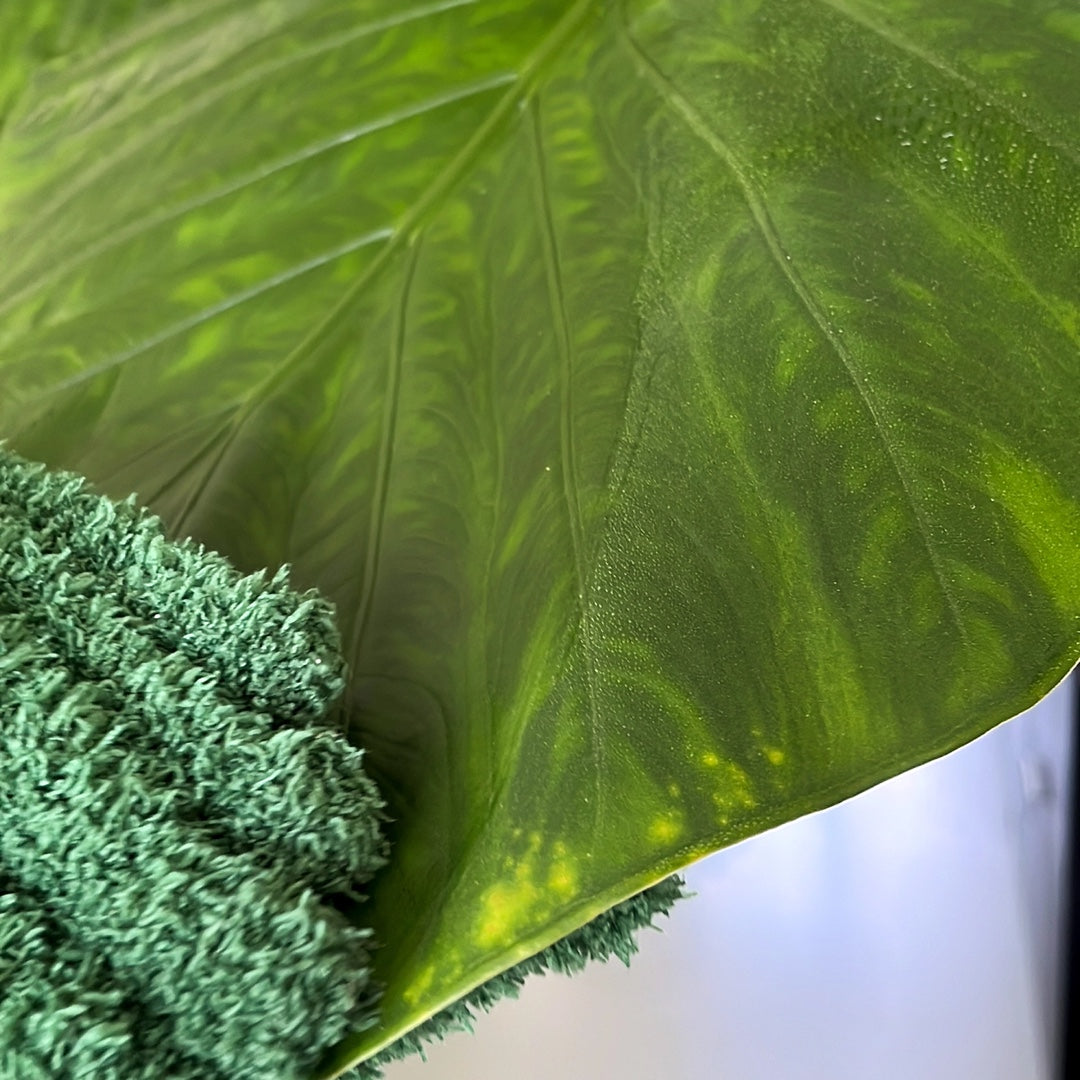 Leaf Love Glove | Microfiber Cleaning Glove