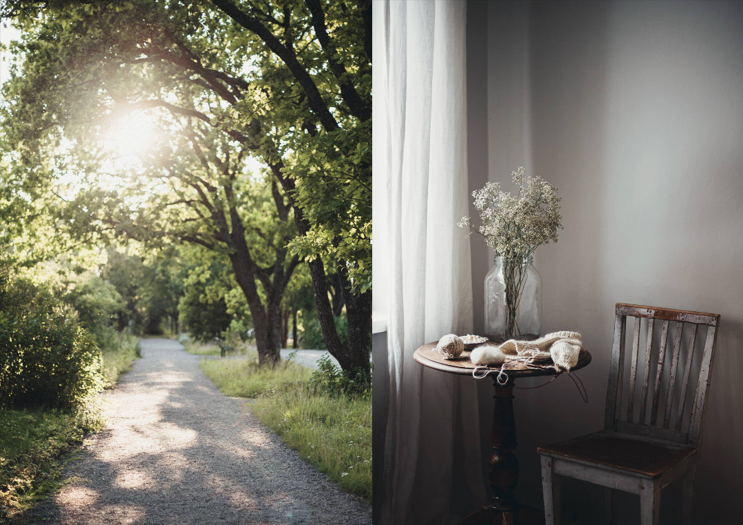 Buch | The Nature Within
