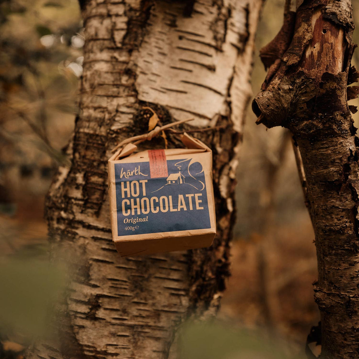 Hot chocolate | classic