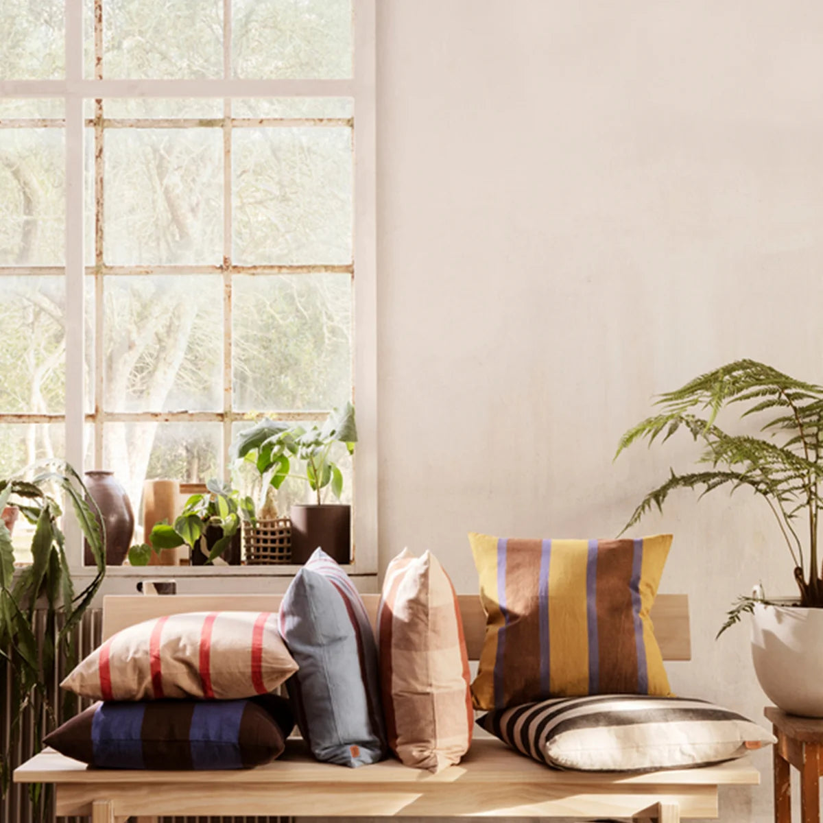 Coussin Grand | citron vert & chocolat