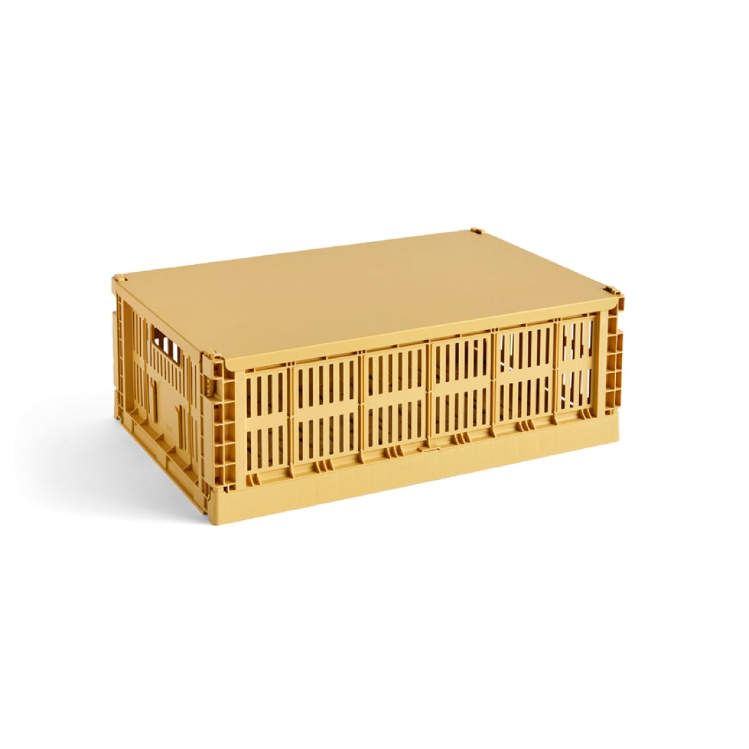 Lid Colour Crate L | golden yellow
