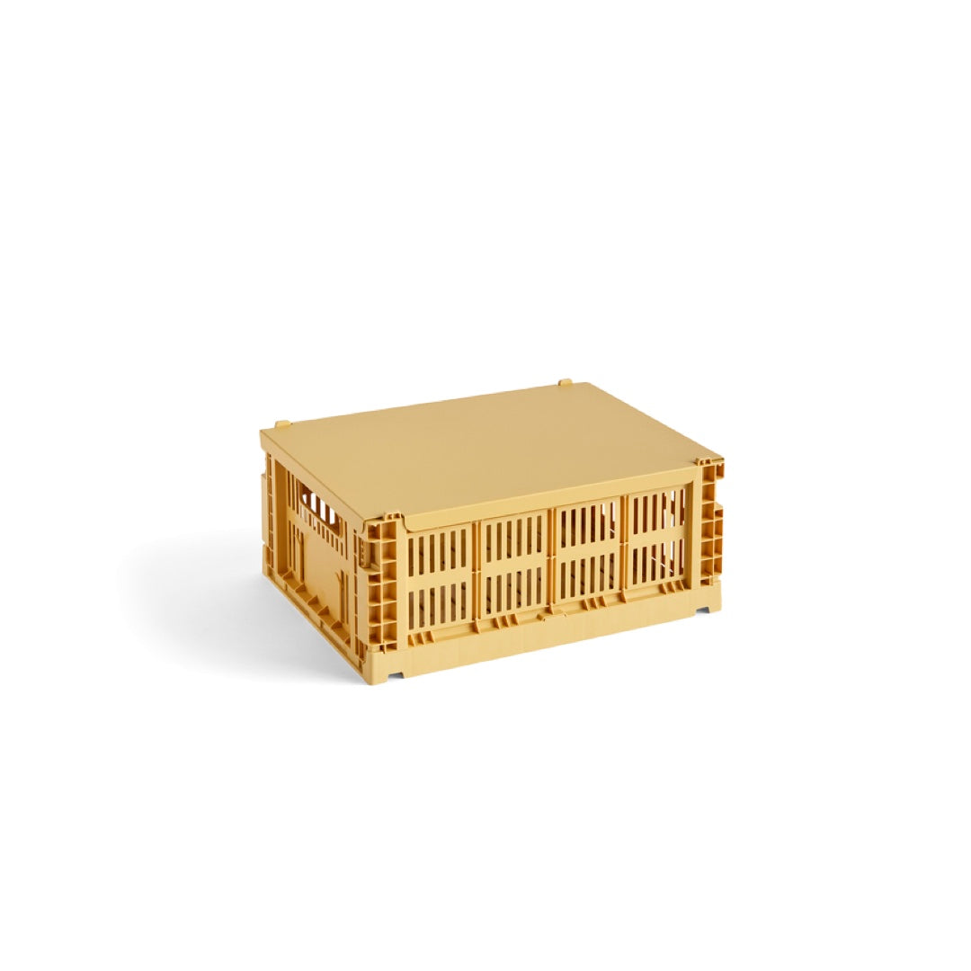 Lid Colour Crate M | golden yellow