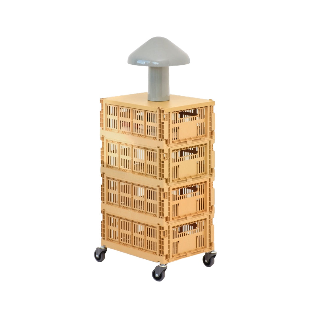 Räder Colour Crate M | Lot de 4