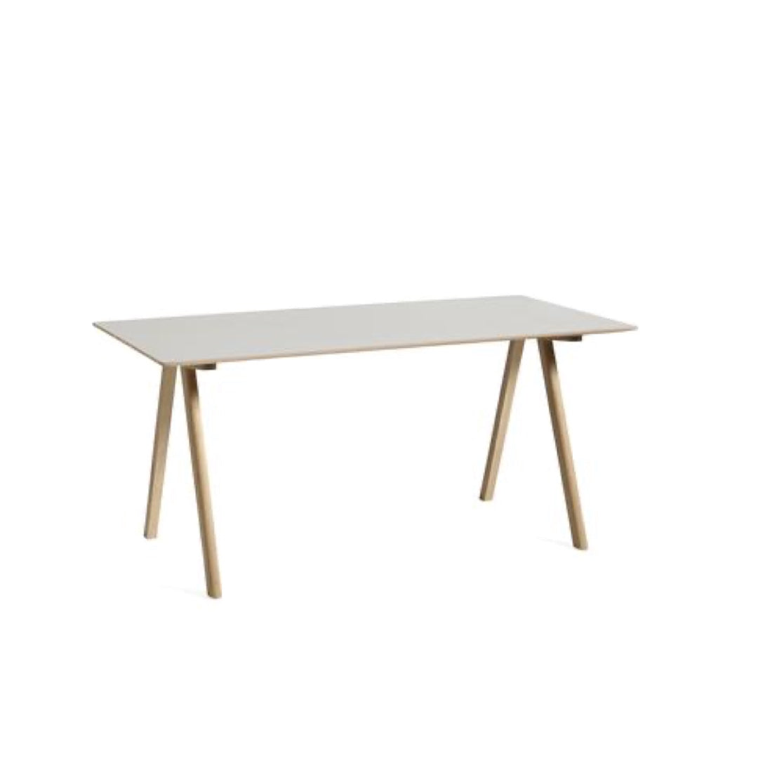 Desk CPH 10 | 160x80cm