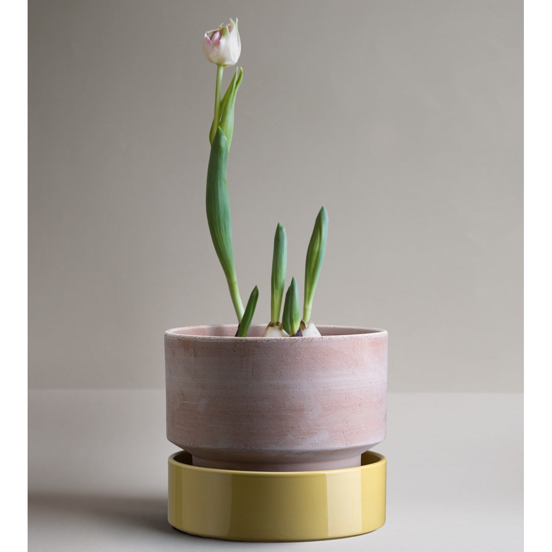 Saucer for The Hoff Pot | pale yellow