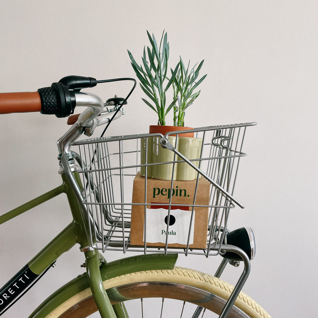 Self-watering Pot Paulita S | green