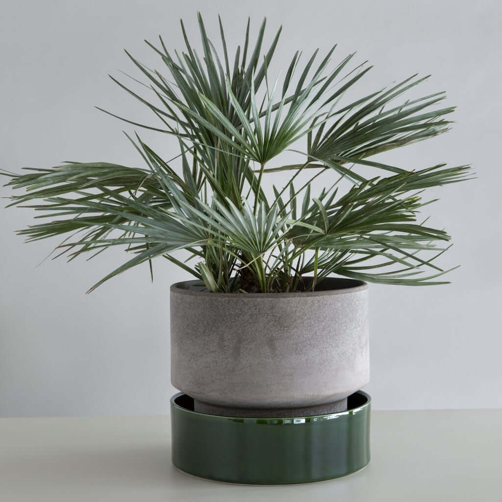joyne.com | Blumentopf The Hoff Pot | grau von Bergs Potter