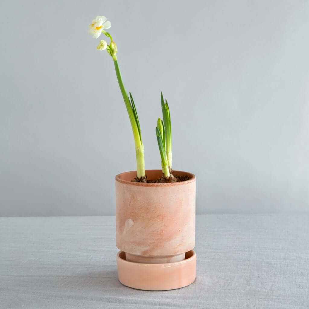 joyne.com | Blumentopf The Hoff Pot | terracotta von Bergs Potter