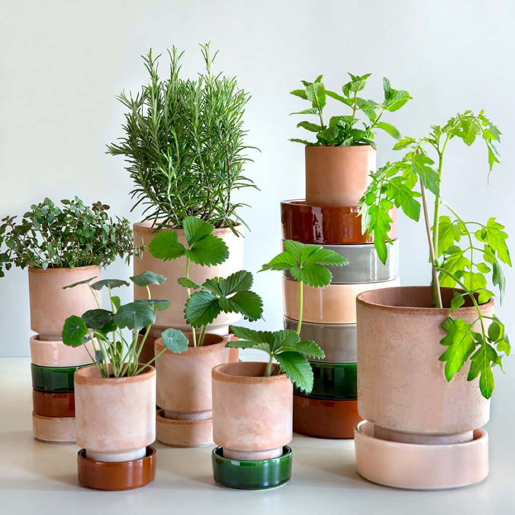 joyne.com | Blumentopf The Hoff Pot | terracotta von Bergs Potter