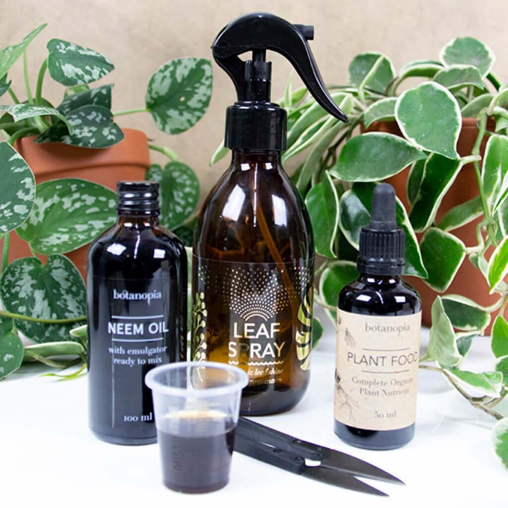 joyne.com | Plant Care Kit | Pflegeset für Pflanzen von Botanopia