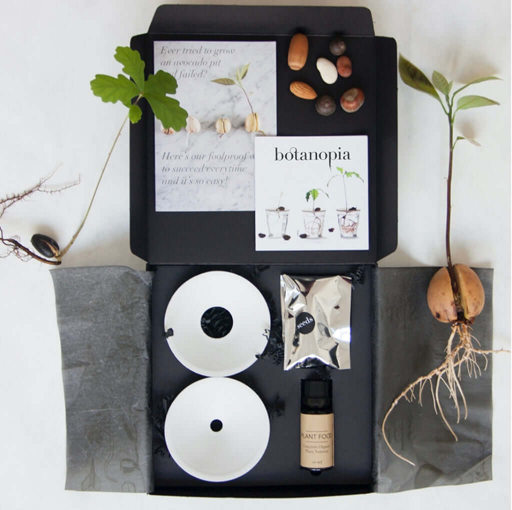 joyne.com | Porzellan Keim-Platte für Pflanzenableger | S von Botanopia