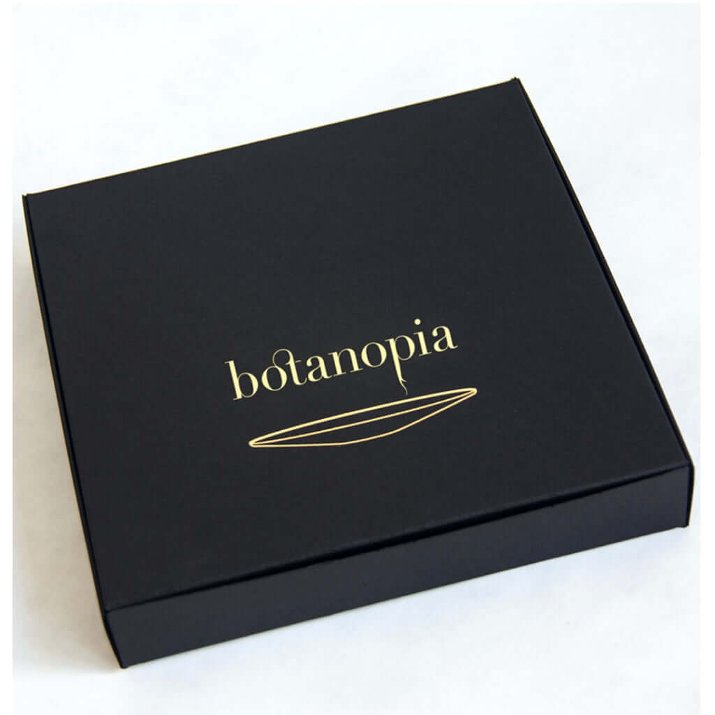 joyne.com | Propagation Starter Set für Pflanzenableger von Botanopia