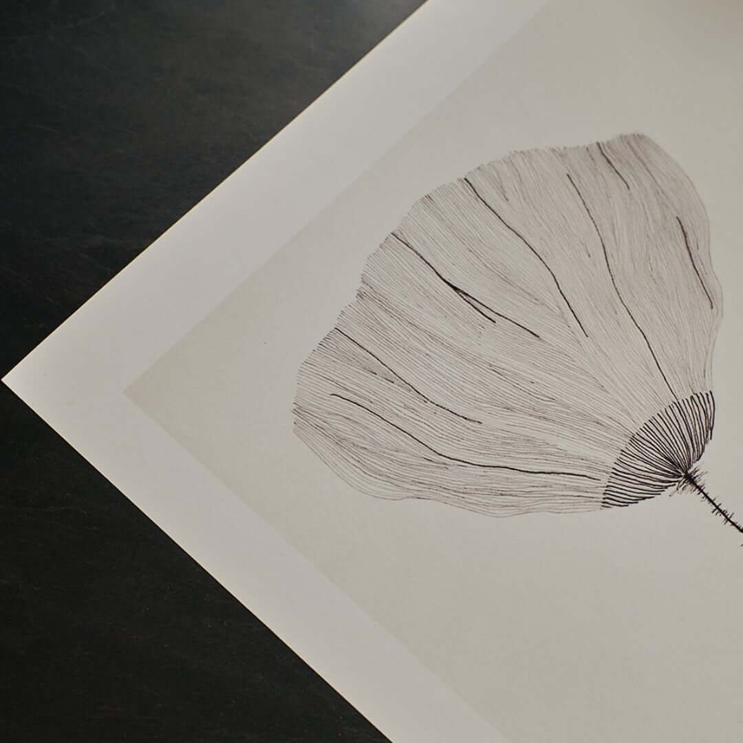 joyne.com | Gerahmter Kunstdruck "Poppy" - Ana Frois | 30x40cm von The Poster Club