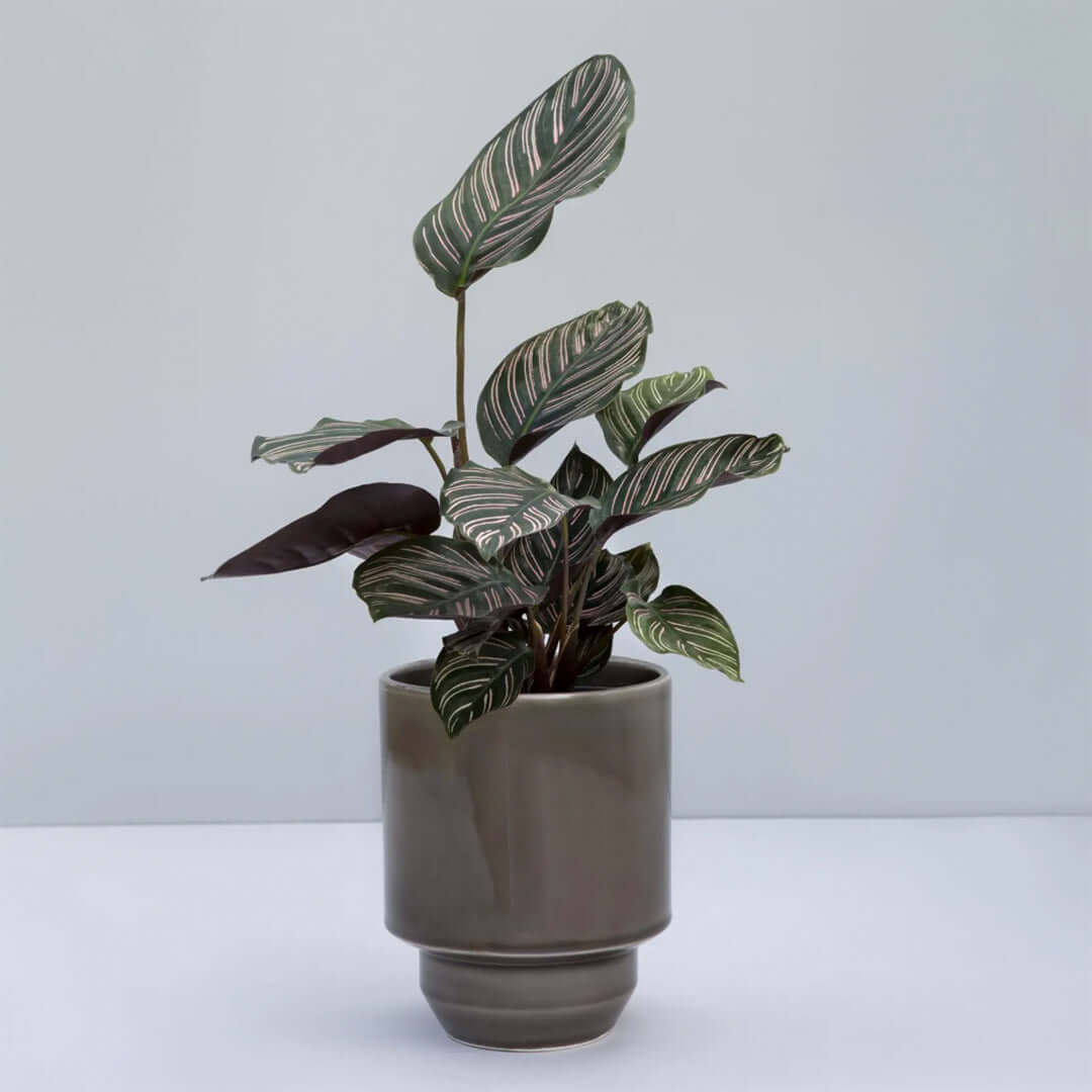 Flower Pot The Hoff Pot | grey glazed