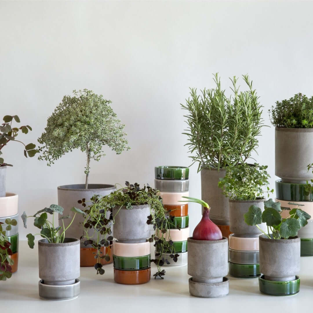 joyne.com | Unterteller für Blumentopf "The Hoff Pot" | raw in verschiedene Farben von Bergs Potter