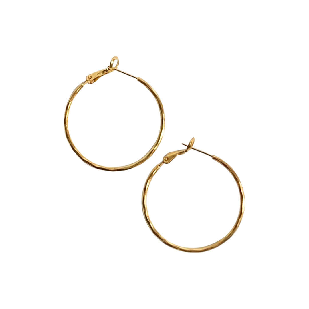 Earrings Hoops | gold