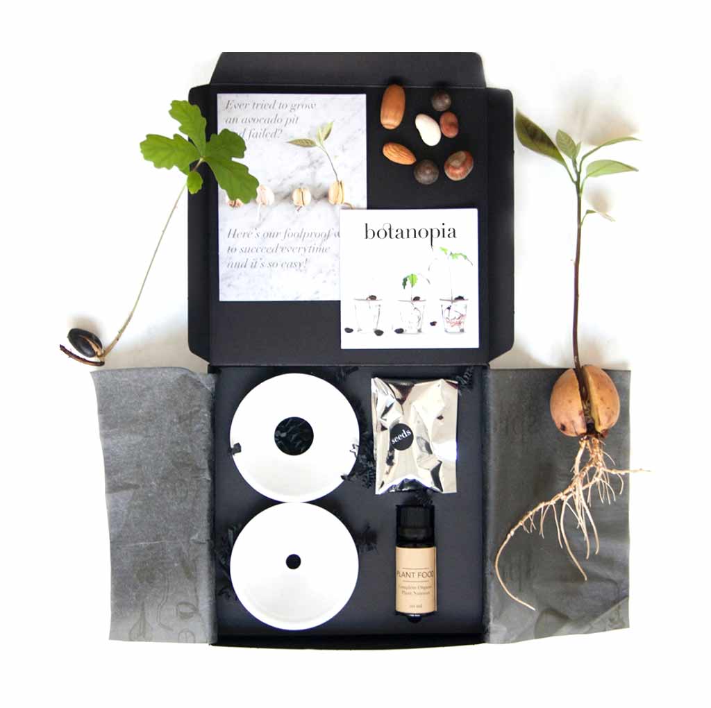 joyne.com | Propagation Starter Set für Pflanzenableger von Botanopia